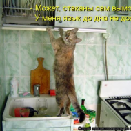 Мойщик посуды