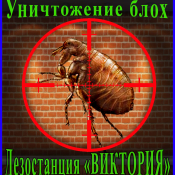 Борьба с блохами в помещении. Избавим от блох 100%. Алматы и область. Дезостанция «ВИКТОРИЯ» Дезостанция «ВИКТОРИЯ» предлагает Вам решение проблемы - уничтожения блох . Наши специалисты используя профессиональные и безопасные препараты смогут обработать помещение максимально эффективно, и посоветуют, как предотвратить повторное появление блох. 150 кв.М дезинфекция,дератизация,дезинсекция цена минимальная Другие услуги \ Борьба с блохами в помещении. Избавим от блох 100%. Алматы и область. Дезостанция «ВИКТОРИЯ» Дезостанция «ВИКТОРИЯ» предлагает Вам решение проблемы - уничтожения блох . Наши специалисты используя профессиональные и безопасные препараты смогут обработать помещение максимально эффективно, и посоветуют, как предотвратить повторное появление блох. 150 кв.М дезинфекция,дератизация,дезинсекция цена минимальная Другие услуги \