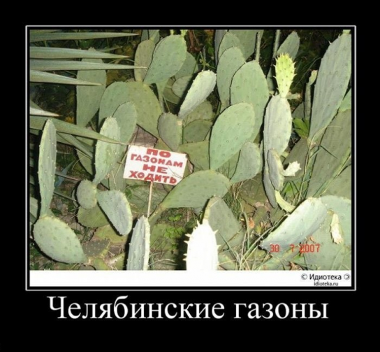 Челяба. Челябинские газоны...
