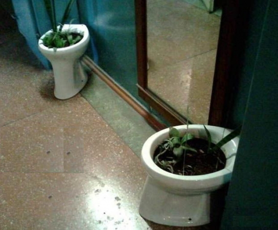 Цветочник из унитаза 