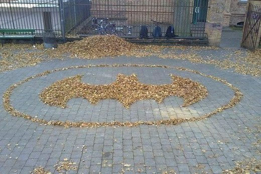 Когда дворнику нечего делать...