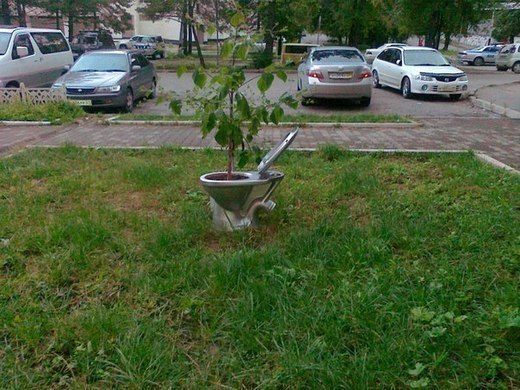 Оригинальная клумба