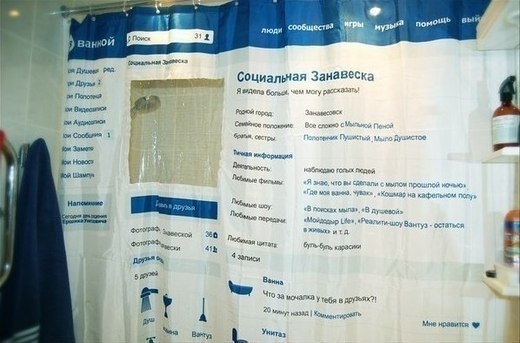 Социальная занавеска)