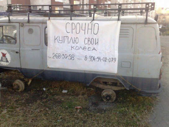  Вот она- реальность!!!