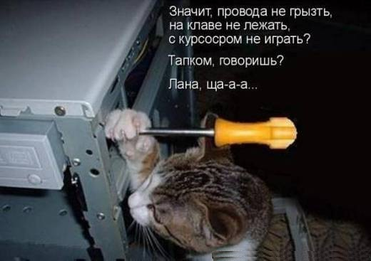 Обиделся.