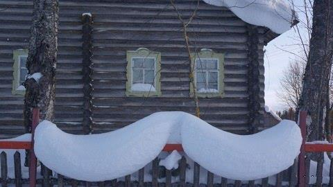 Дом с усами)