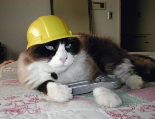 Котострой