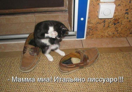 Итальяно сантехника!