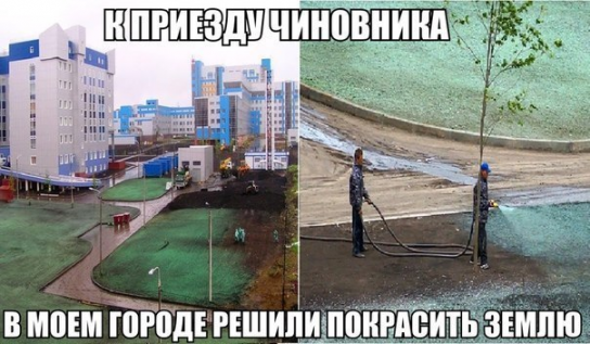 Секрет газона раскрыт 