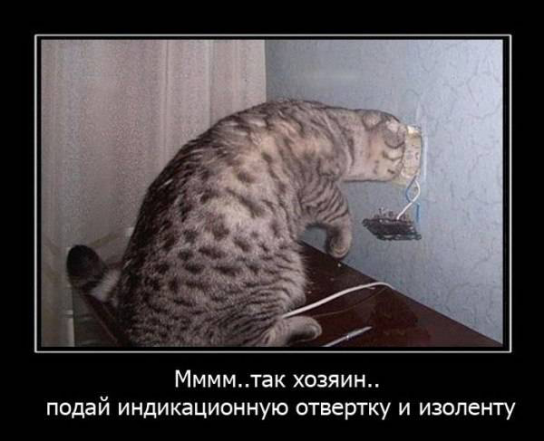 Котэ электрик