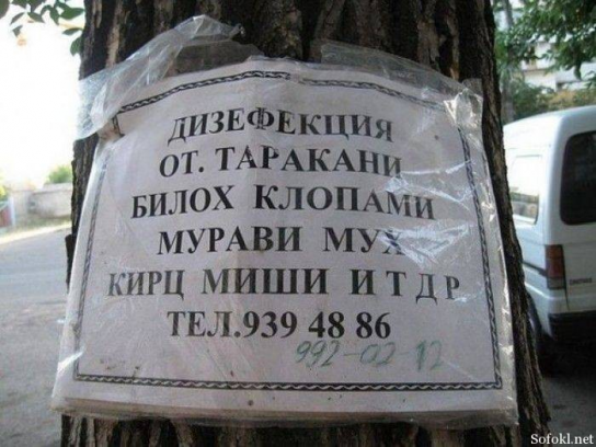 Кирц мишам!