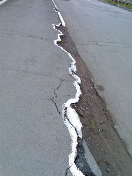 Покрасили бордюр 