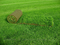 ТОО, LANDSCAPE SERVICE, 1 Строительный портал, все для ремонта и строительства. ТОО, LANDSCAPE SERVICE, 1 Строительный портал, все для ремонта и строительства.